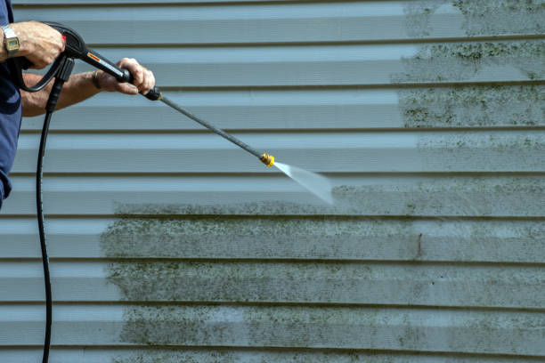 Professional Pressure Washing Services in South Williamsport, PA